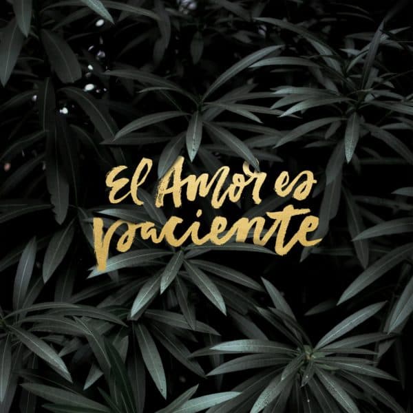 El amor es paciente