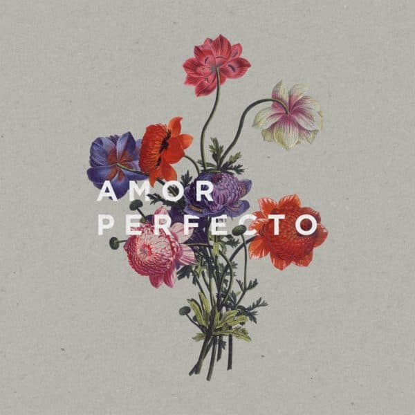 Amor Perfecto