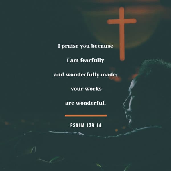 I praise you because I am fearfully and wonderfully made;  your works are wonderful. - Psalm 139:14