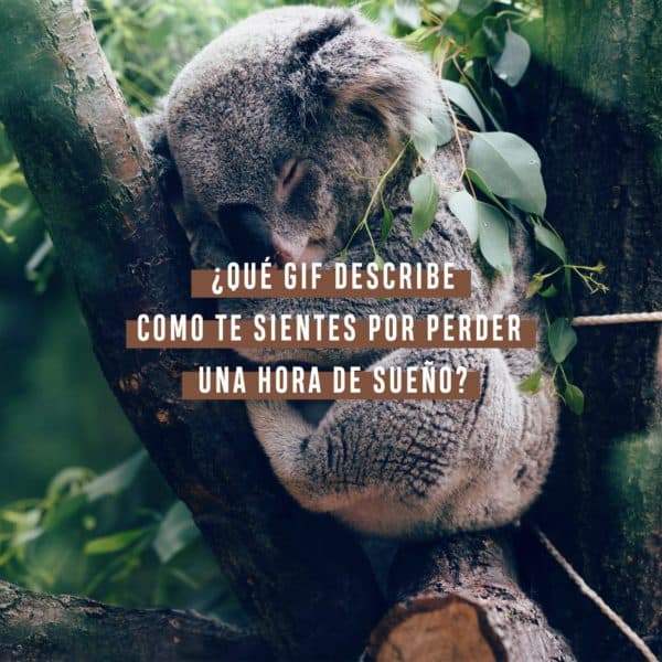 ¿Qué GIF describe como te sientes por perder una hora de sueño?