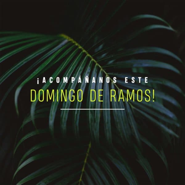 ¡Acompáñanos este Domingo de Ramos!