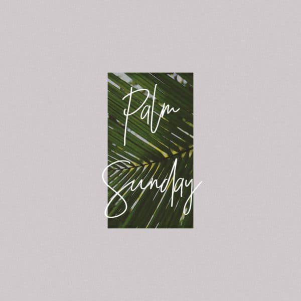 Palm Sunday!