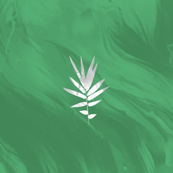 Palma