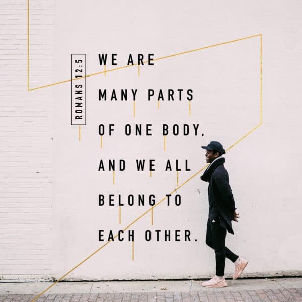 We are many parts of one body, and we all belong to each other. - Romans 12:5