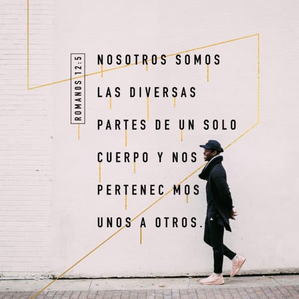 Nosotros somos las diversas partes de un solo cuerpo y nos pertenecemos unos a otros. - Romanos 12:5