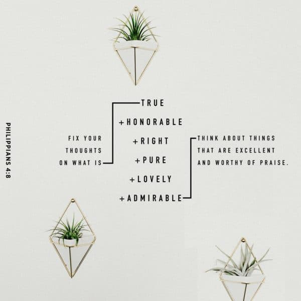 Fix your thoughts on what is true, and honorable, and right, and pure, and lovely, and admirable. Think about things that are excellent and worthy of praise. - Philippians 4:8