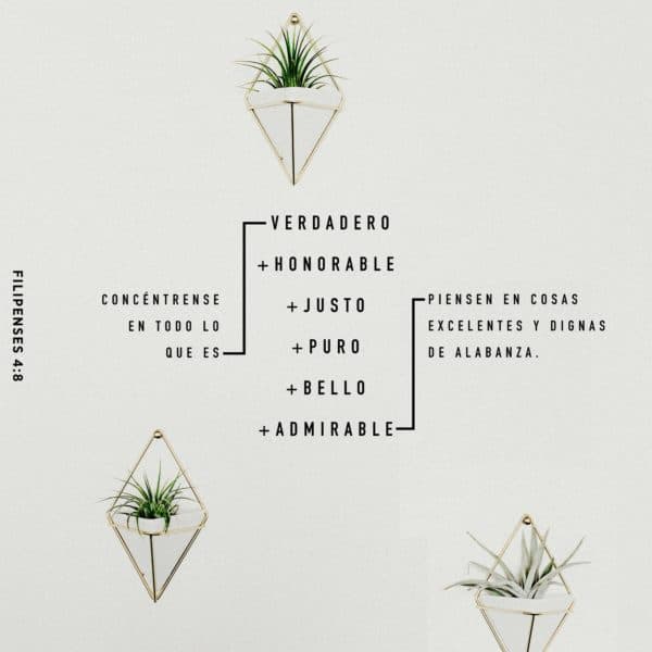 Concéntrense en todo lo que es verdadero, todo lo honorable, todo lo justo, todo lo puro, todo lo bello y todo lo admirable. Piensen en cosas excelentes y dignas de alabanza. - Filipenses 4:8