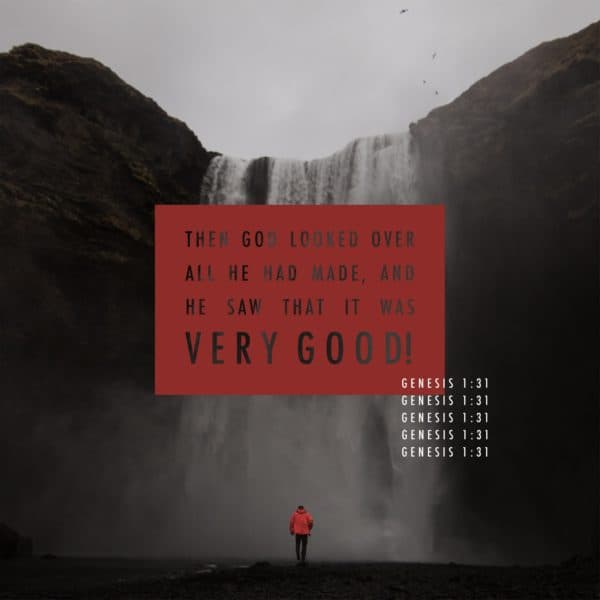 Then God looked over all he had made, and he saw that it was very good!  - Genesis 1:31