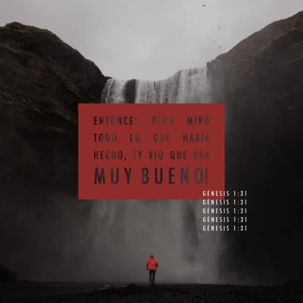 Entonces Dios miró todo lo que había hecho, ¡y vio que era muy bueno! - Génesis 1:31
