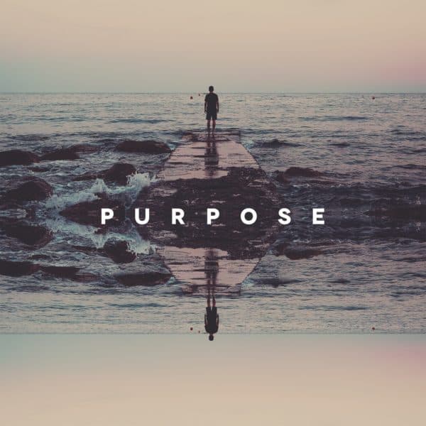 Purpose