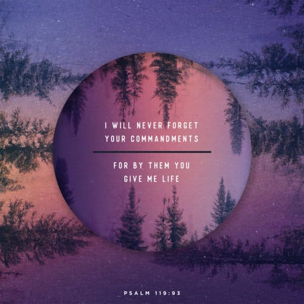 I will never forget your commandments, for by them you give me life. - Psalm 119:93