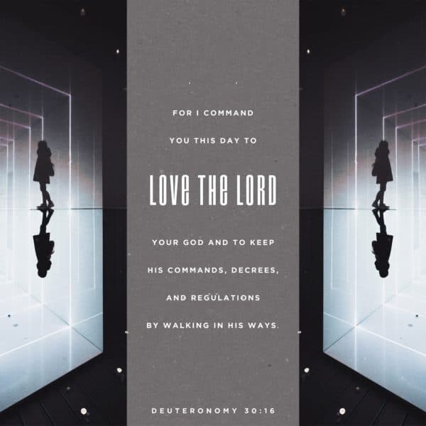 For I command you this day to love the LORD your God and to keep his commands, decrees, and regulations by walking in his ways. - Deuteronomy 30:16