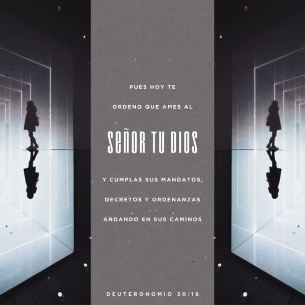 Pues hoy te ordeno que ames al Señor tu Dios y cumplas sus mandatos, decretos y ordenanzas andando en sus caminos. - Deuteronomio 30:16