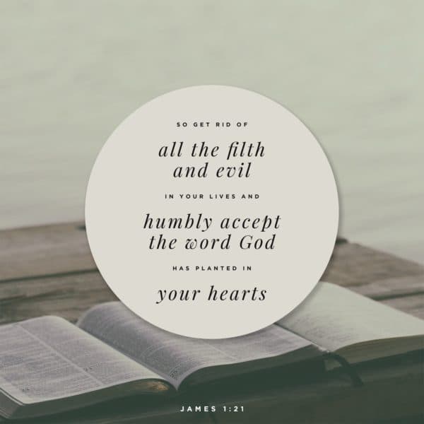 So get rid of all the filth and evil in your lives, and humbly accept the word God has planted in your hearts. - James 1:21