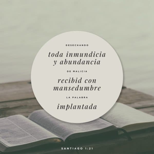Desechando toda inmundicia y abundancia de malicia, recibid con mansedumbre la palabra implantada. - Santiago 1:21