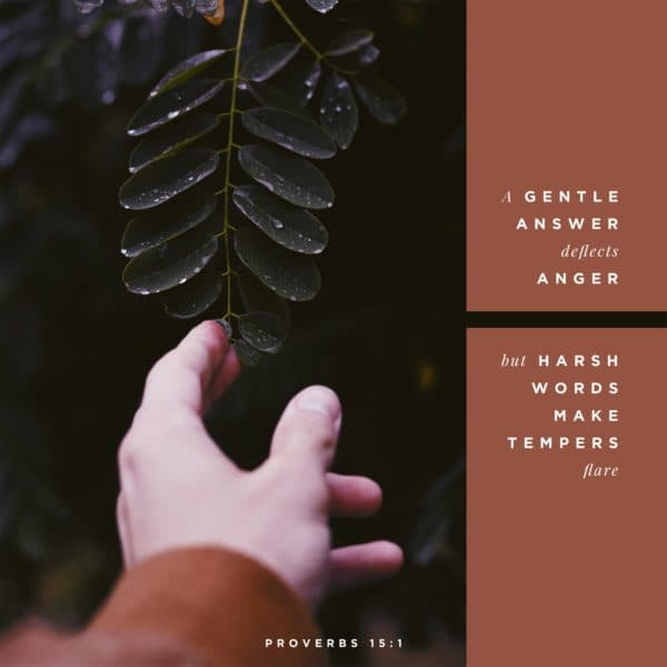 A gentle answer deflects anger, but harsh words make tempers flare. - Proverbs 15:1