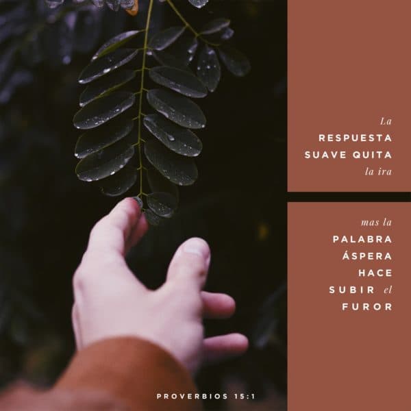 La respuesta suave quita la ira; mas la palabra áspera hace subir el furor. - Proverbios 15:1