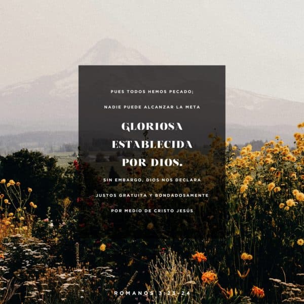 Pues todos hemos pecado; nadie puede alcanzar la meta gloriosa establecida por Dios. Sin embargo, Dios nos declara justos gratuita y bondadosamente por medio de Cristo Jesús. - Romanos 3:23-24