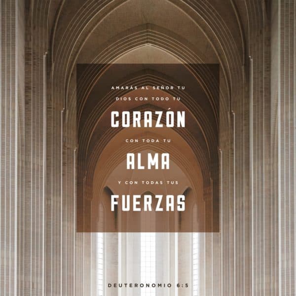Amarás al Señor tu Dios con todo tu corazón, con toda tu alma y con todas tus fuerzas. - Deuteronomio 6:5
