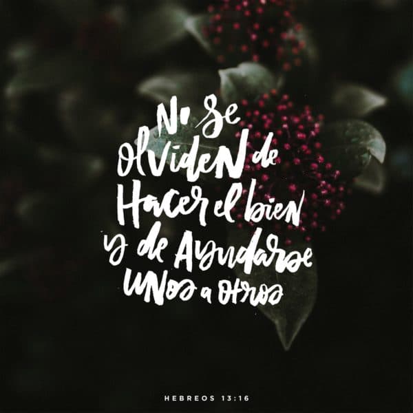 No se olviden de hacer el bien y de ayudarse unos a otros. - Hebreos 13:16