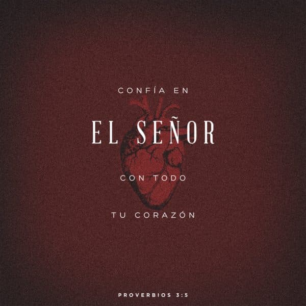 Confía en el Señor con todo tu corazón. - Proverbios 3:5