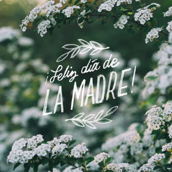 ¡Feliz día de la Madre!