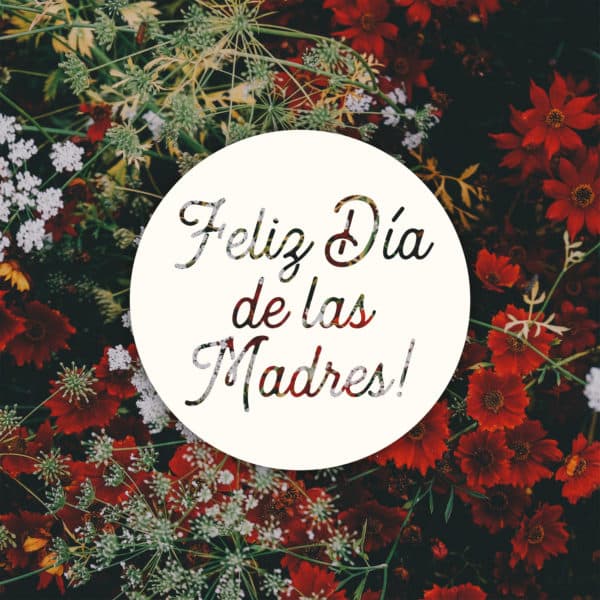 ¡Feliz Día de las Madres!
