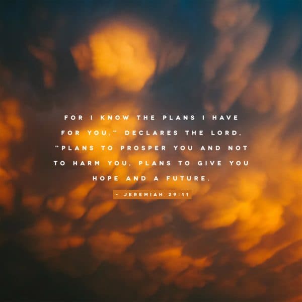 "For I know the plans I have for you," declares the LORD, "plans to prosper you and not to harm you, plans to give you hope and a future". - Jeremiah 29:11