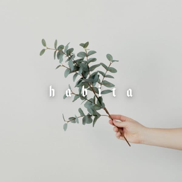 Habita