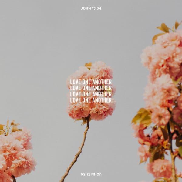 Love one another. - John 13:34