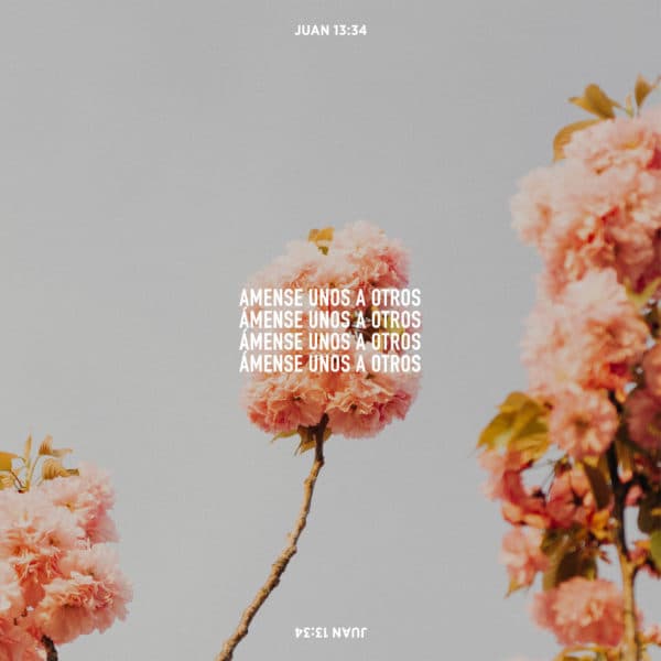 Ámense unos a otros. - Juan 13:34