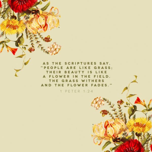 As the Scriptures say, "People are like grass; their beauty is like a flower in the field. The grass withers and the flower fades." - 1 Peter 1:24