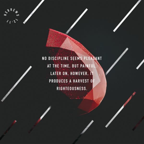 No discipline seems pleasant at the time, but painful. Later on, however, it produces a harvest of righteousness. - Hebrews 12:11