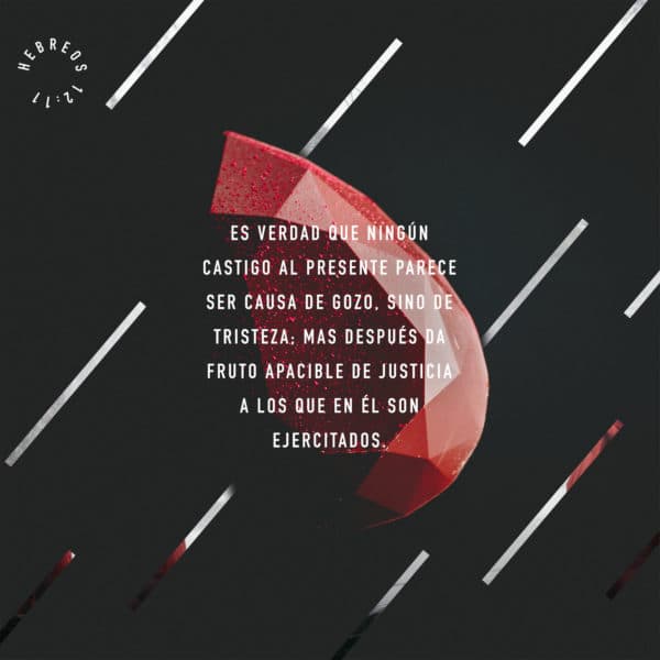 Es verdad que ningún castigo al presente parece ser causa de gozo, sino de tristeza; mas después da fruto apacible de justicia a los que en él son ejercitados. - Hebreos 12:11