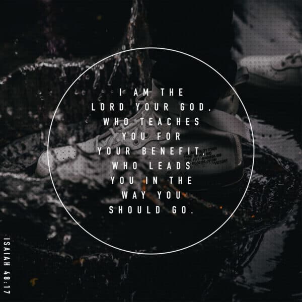 I am the LORD your God, who teaches you for your benefit, who leads you in the way you should go. - Isaiah 48:17