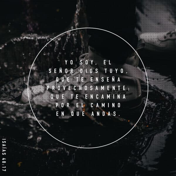 Yo soy, el SEÑOR Dios tuyo, que te enseña provechosamente; que te encamina por el camino en que andas. - Isaías 48:17