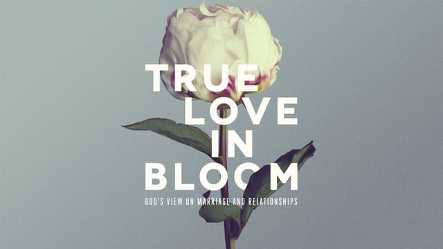 True Love in Bloom: God's View on Marriage and Relationships
