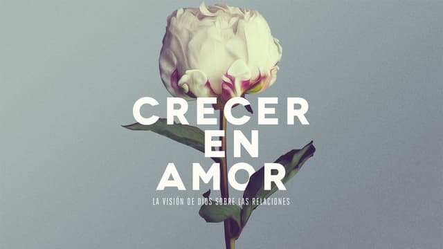 Crecer en Amor: La Visión de Dios Sobre las Relaciones