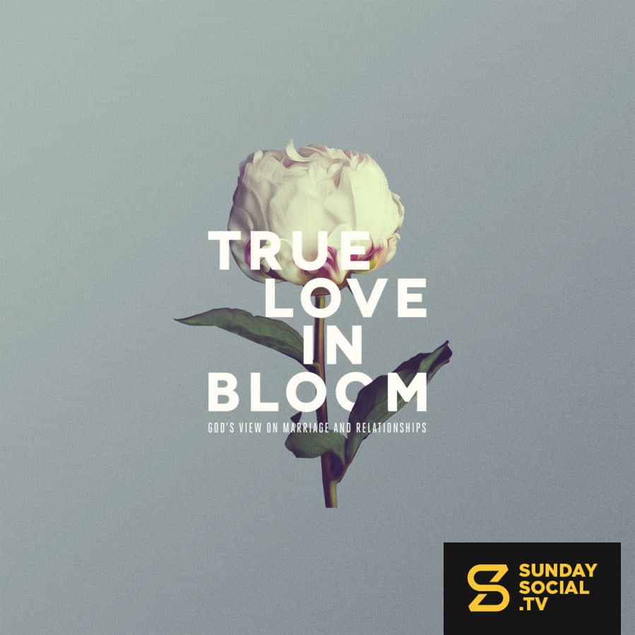 True Love in Bloom: God's View on Marriage and Relationships