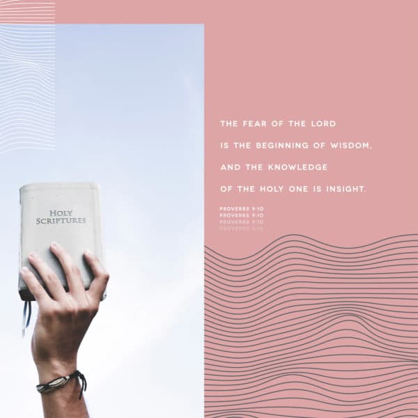 The fear of the LORD is the beginning of wisdom, and the knowledge of the Holy One is insight. - Proverbs 9:10