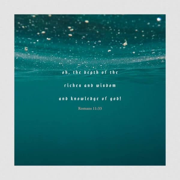 Oh, the depth of the riches and wisdom and knowledge of God! - Romans 11:33