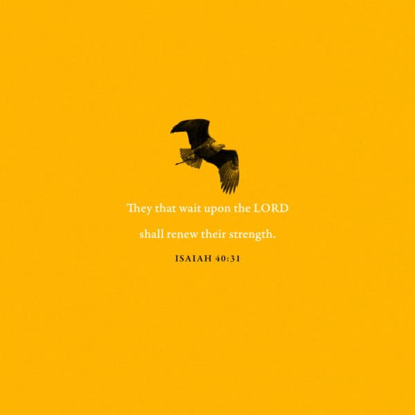 They that wait upon the LORD shall renew their strength. - Isaiah 40:31