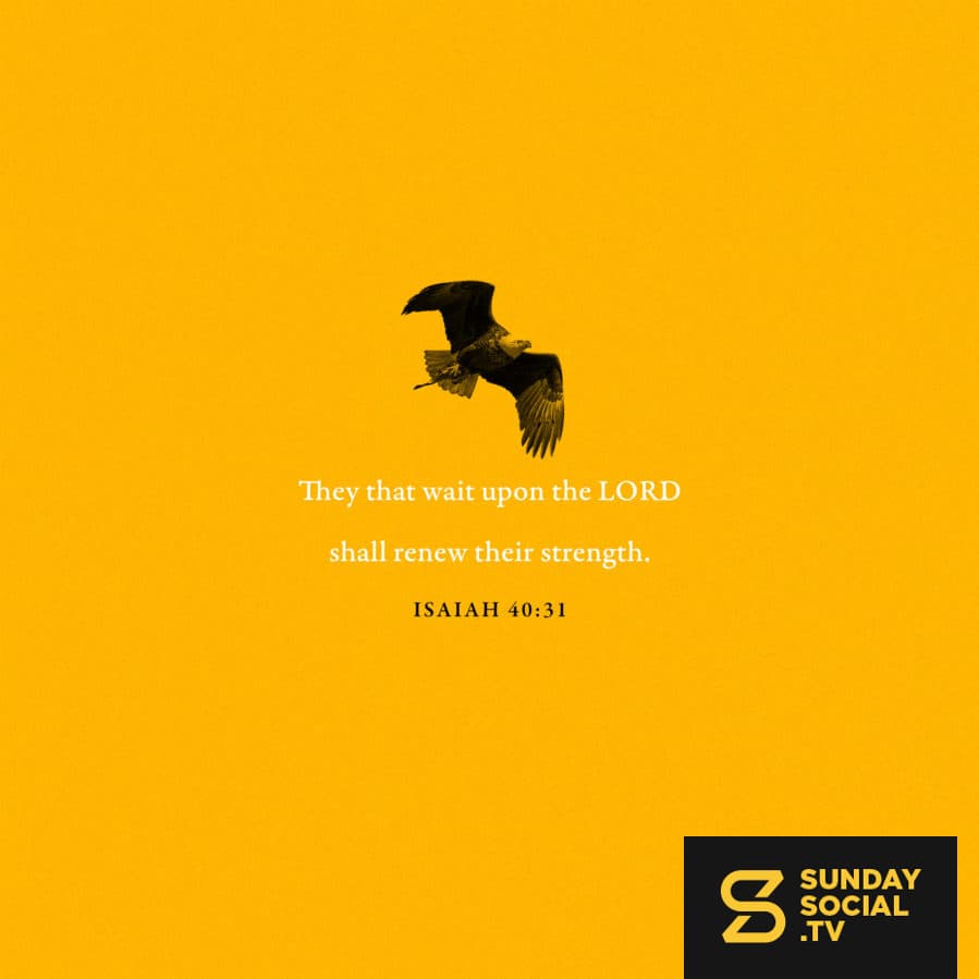 They that wait upon the LORD shall renew their strength. - Isaiah 40:31