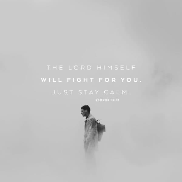 The LORD himself will fight for you. Just stay calm. - Exodus 14:14