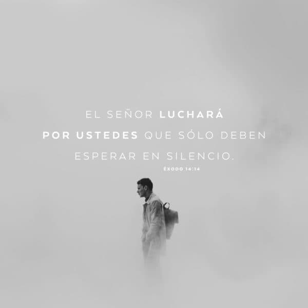 El Señor luchará por ustedes, solo deben esperar en silencio. - Éxodo 14:14