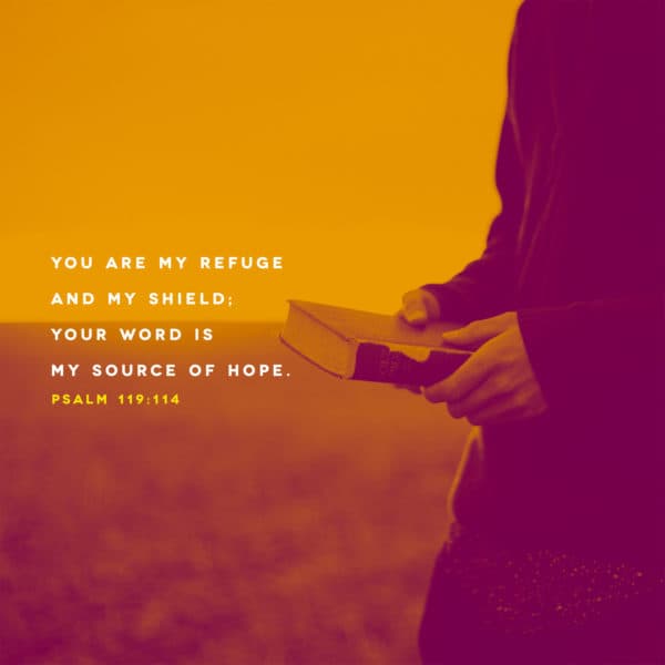 You are my refuge and my shield; your word is my source of hope. - Psalms 119:114