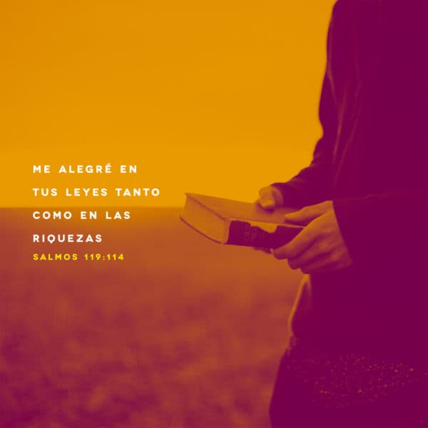 Me alegré en tus leyes tanto como en las riquezas - Salmos 119:114