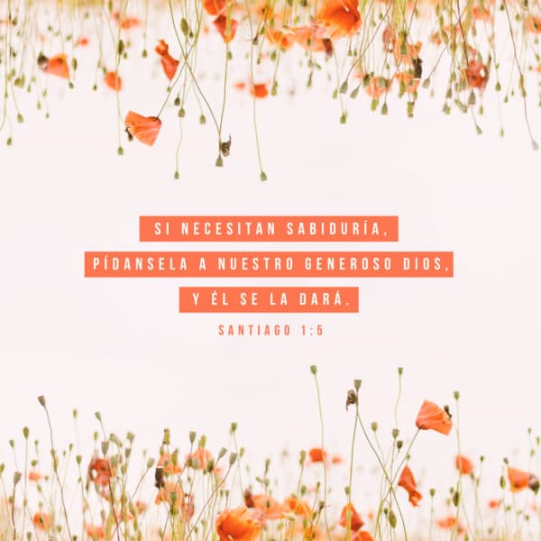 Si necesitan sabiduría, pídansela a nuestro generoso Dios, y él se la dará. - Santiago 1:5