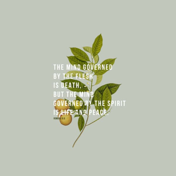 The mind governed by the flesh is death, but the mind governed by the Spirit is life and peace. - Romans 8:6