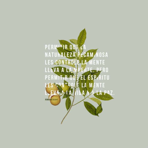 Permitir que la naturaleza pecaminosa les controle la mente lleva a la muerte. Pero permitir que el Espíritu les controle la mente lleva a la vida y a la paz. - Romanos 8:6-8